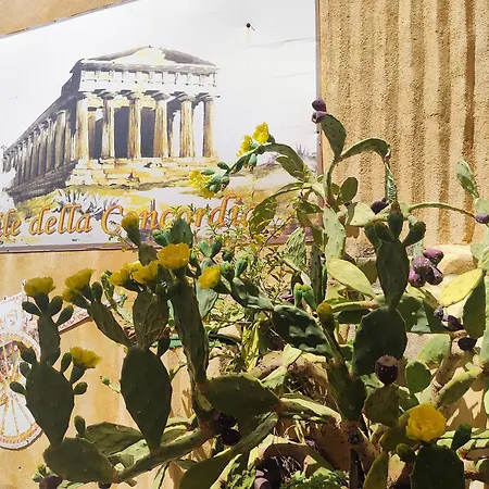 Gæstehus Salvo 7 3*